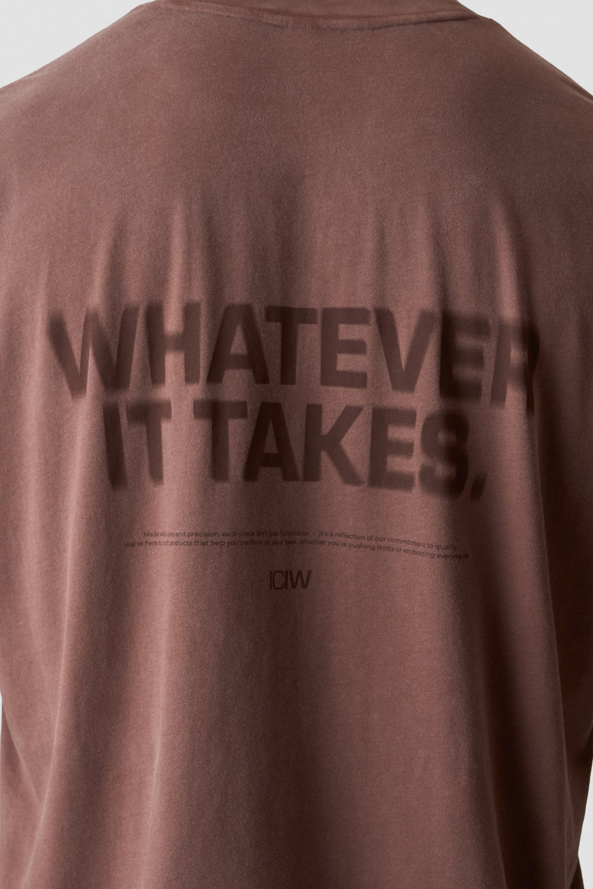 ICIW - Stonewashed T-Shirt