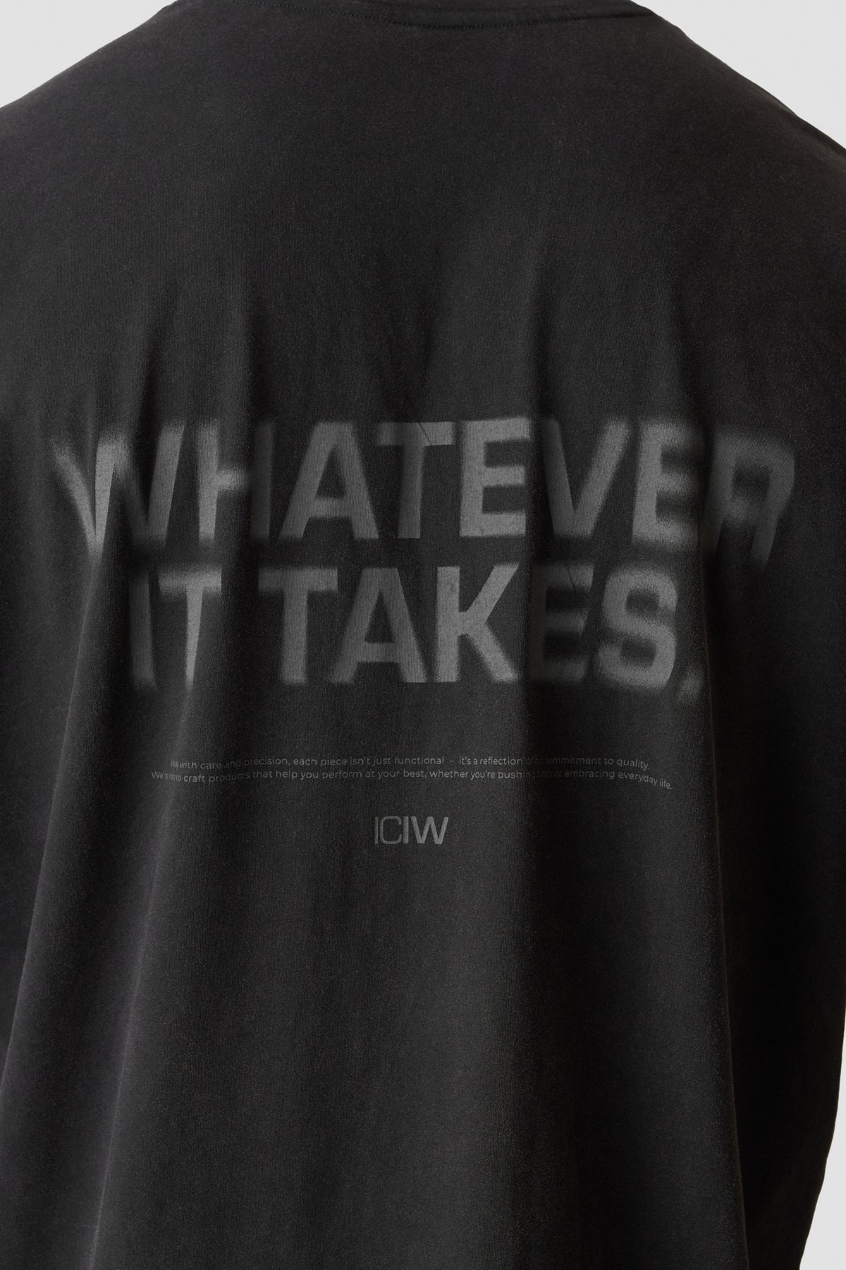 ICIW - Stonewashed T-Shirt